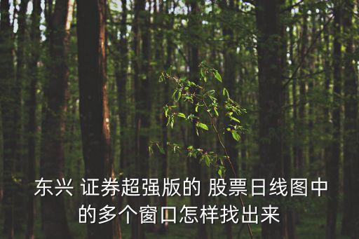  東興 證券超強版的 股票日線圖中的多個窗口怎樣找出來