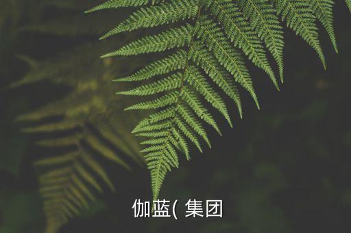 伽藍集團上市了嗎,伽藍(集團)股份有限公司上市了嗎