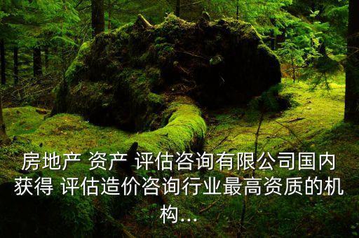 房地產(chǎn) 資產(chǎn) 評估咨詢有限公司國內(nèi)獲得 評估造價咨詢行業(yè)最高資質(zhì)的機(jī)構(gòu)...