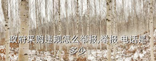 政府采購違規(guī)怎么舉報,舉報 電話是多少