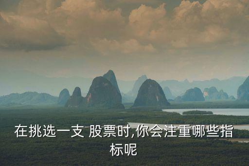 在挑選一支 股票時(shí),你會(huì)注重哪些指標(biāo)呢