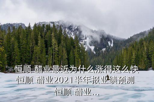 恒順醋業(yè)股票投資報告