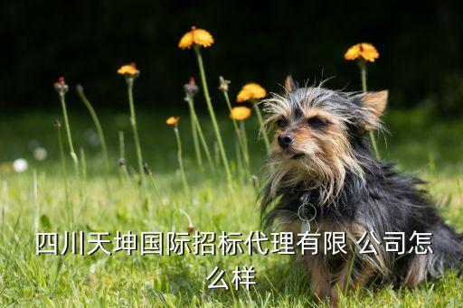四川金城資產(chǎn)評估公司,四川中天華資產(chǎn)評估公司怎么樣