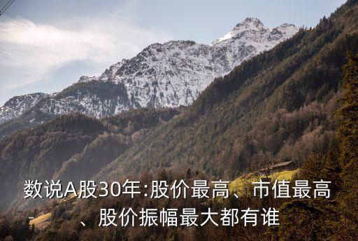 數(shù)說(shuō)A股30年:股價(jià)最高、市值最高、股價(jià)振幅最大都有誰(shuí)