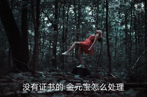 沒有證書的 金元寶怎么處理