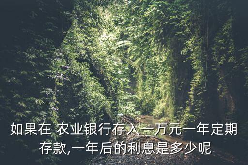 如果在 農(nóng)業(yè)銀行存入一萬(wàn)元一年定期 存款,一年后的利息是多少呢
