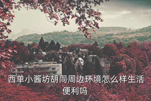  西單小醬坊胡同周邊環(huán)境怎么樣生活便利嗎