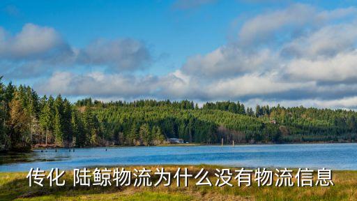  傳化 陸鯨物流為什么沒有物流信息
