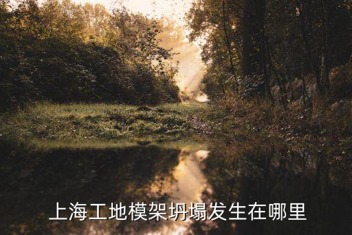 上海倒塌樓房,2009年上海樓房倒塌案