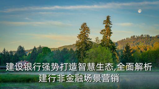 商業(yè)銀行機(jī)構(gòu)網(wǎng)絡(luò)布局優(yōu)化解決方案