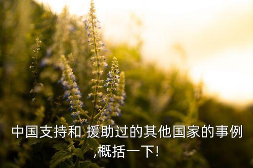 中國(guó)對(duì)巴基斯坦的最大援助,巴基斯坦和中國(guó)誰(shuí)最大