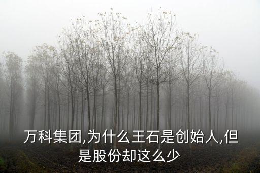  萬科集團,為什么王石是創(chuàng)始人,但是股份卻這么少