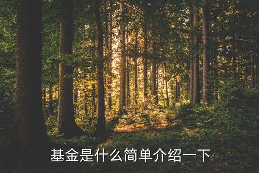  基金是什么簡單介紹一下