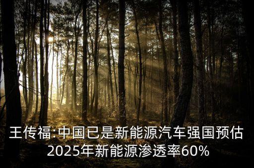 王傳福:中國(guó)已是新能源汽車強(qiáng)國(guó)預(yù)估 2025年新能源滲透率60%