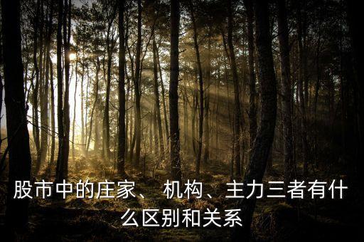 股市中的莊家、 機(jī)構(gòu)、主力三者有什么區(qū)別和關(guān)系