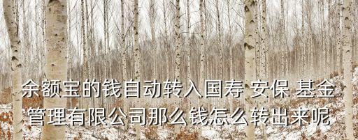 余額寶的錢自動轉(zhuǎn)入國壽 安保 基金管理有限公司那么錢怎么轉(zhuǎn)出來呢