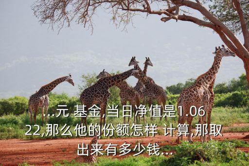 ...元 基金,當(dāng)日凈值是1.0622,那么他的份額怎樣 計算,那取出來有多少錢...