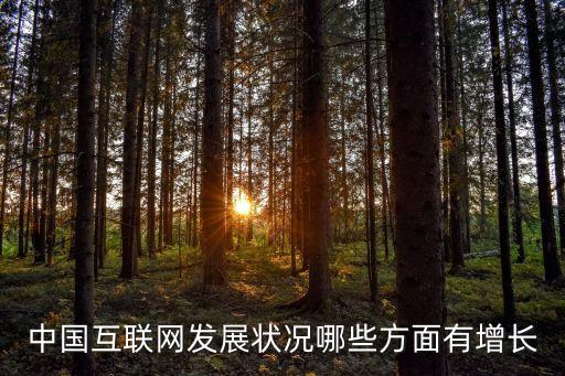 中國互聯(lián)網(wǎng)發(fā)展?fàn)顩r哪些方面有增長
