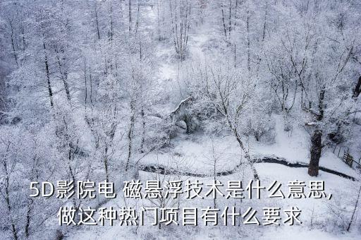 5D影院電 磁懸浮技術(shù)是什么意思,做這種熱門(mén)項(xiàng)目有什么要求