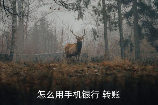 光大銀行app同行轉(zhuǎn)賬