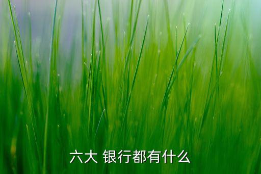 六大 銀行都有什么