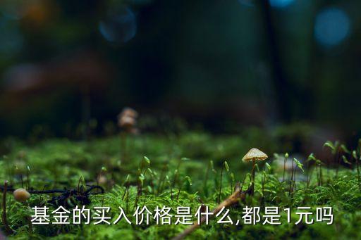  基金的買(mǎi)入價(jià)格是什么,都是1元嗎