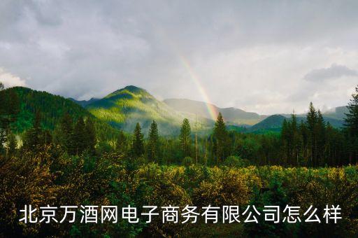  北京萬(wàn)酒網(wǎng)電子商務(wù)有限公司怎么樣