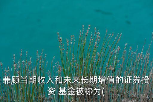 兼顧當期收入和未來長期增值的證券投資 基金被稱為(