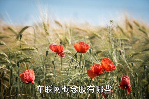 車聯(lián)網(wǎng)概念股有哪些
