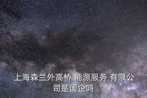  上海森蘭外高橋 能源服務 有限公司是國企嗎