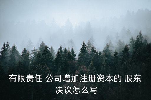 有限責(zé)任 公司增加注冊資本的 股東 決議怎么寫