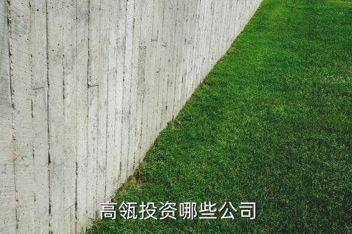  高瓴投資哪些公司