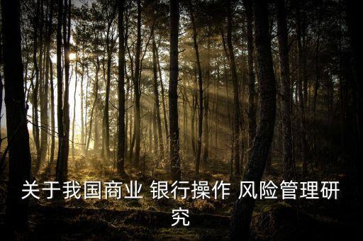 關(guān)于我國(guó)商業(yè) 銀行操作 風(fēng)險(xiǎn)管理研究
