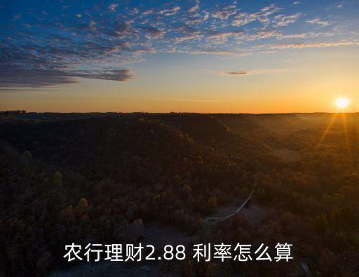農(nóng)行理財(cái)2.88 利率怎么算