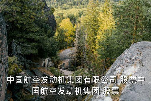 中國航空發(fā)動機(jī)集團(tuán)有限公司 股票中國航空發(fā)動機(jī)集團(tuán) 股票