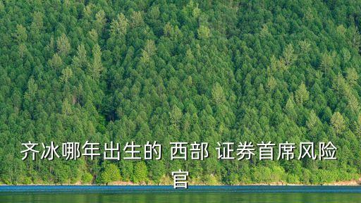 齊冰哪年出生的 西部 證券首席風險官