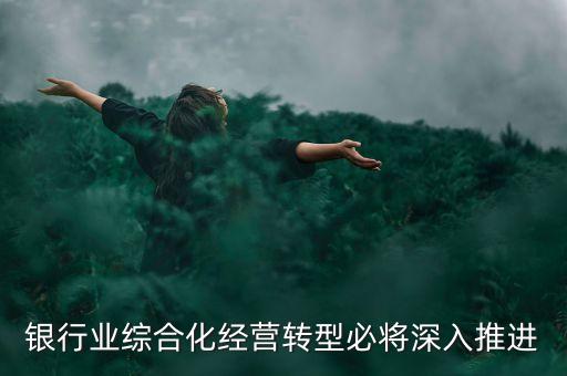 銀行業(yè)綜合化經(jīng)營(yíng)轉(zhuǎn)型必將深入推進(jìn)
