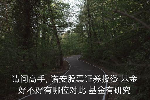 請問高手, 諾安股票證券投資 基金好不好有哪位對此 基金有研究