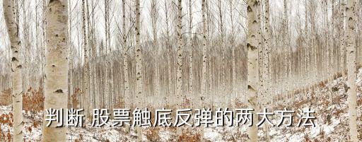 判斷 股票觸底反彈的兩大方法