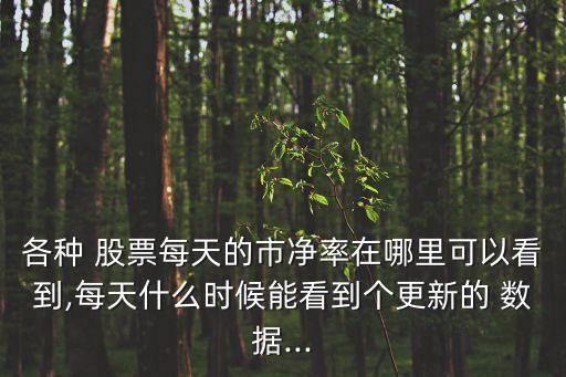 各種 股票每天的市凈率在哪里可以看到,每天什么時候能看到個更新的 數(shù)據(jù)...
