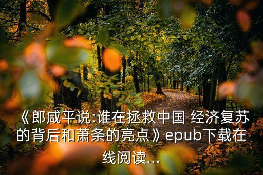 《郎咸平說(shuō):誰(shuí)在拯救中國(guó) 經(jīng)濟(jì)復(fù)蘇的背后和蕭條的亮點(diǎn)》epub下載在線(xiàn)閱讀...