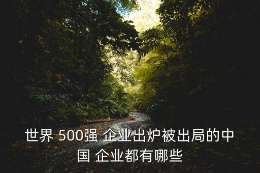 世界 500強(qiáng) 企業(yè)出爐被出局的中國 企業(yè)都有哪些
