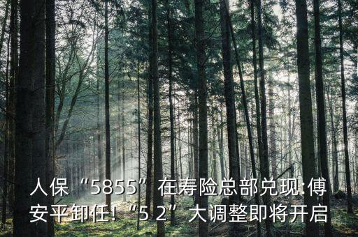 人?！?855”在壽險總部兌現(xiàn):傅安平卸任!“5 2”大調(diào)整即將開啟