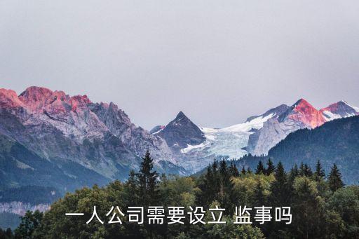 一人公司需要設(shè)立 監(jiān)事嗎