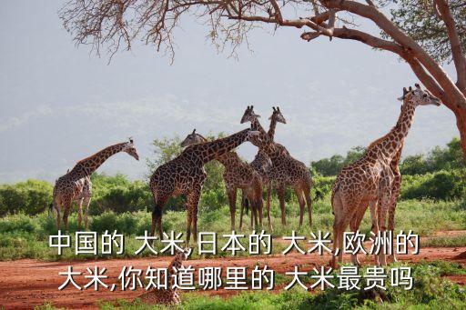 中國(guó)的 大米,日本的 大米,歐洲的 大米,你知道哪里的 大米最貴嗎