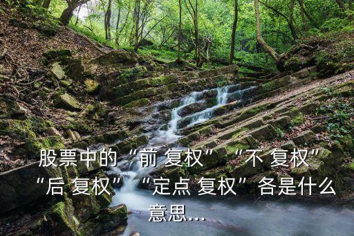  股票中的“前 復權”“不 復權”“后 復權”“定點 復權”各是什么意思...