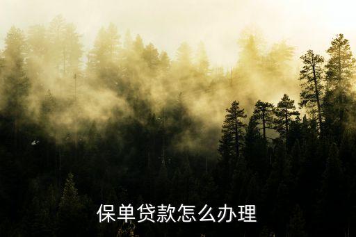 保單貸款怎么辦理