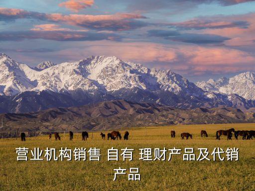 銀行自有理財(cái),銀行銷(xiāo)售自有理財(cái)
