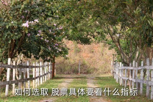 如何選取 股票具體要看什么指標(biāo)