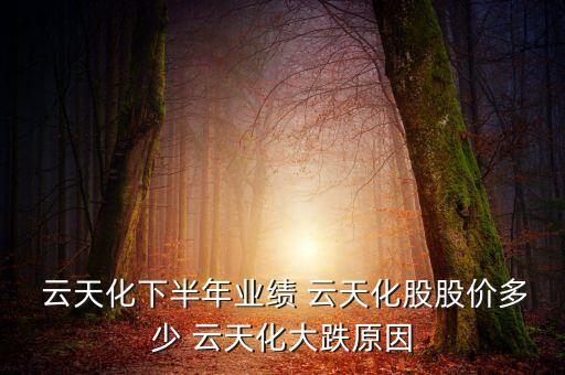 2012年云天化公司營運(yùn)能力分析